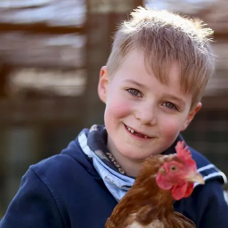 Habel An Der Nordsee *