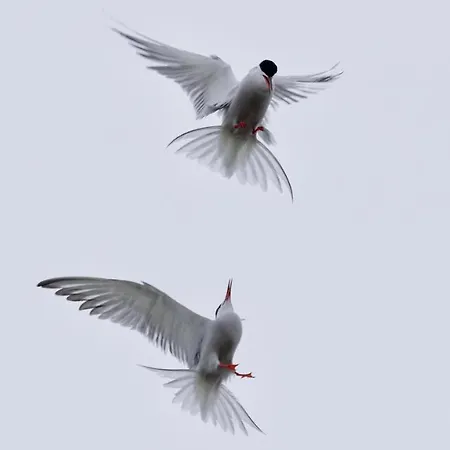 Habel An Der Nordsee Apartment