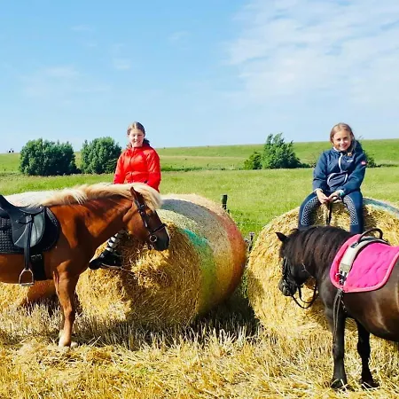 Habel An Der Nordsee Reußenköge