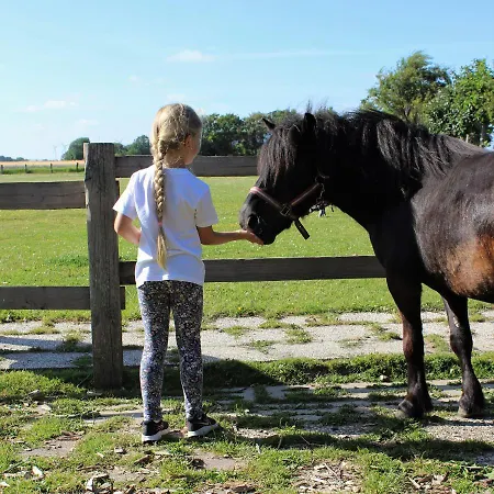 Habel An Der Nordsee Reußenköge
