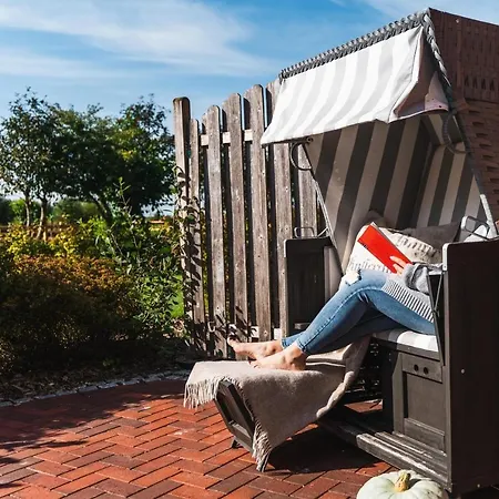 Habel An Der Nordsee