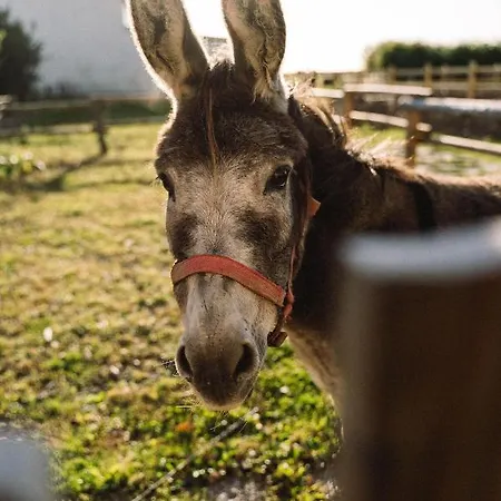 Apartment Habel An Der Nordsee Reußenköge