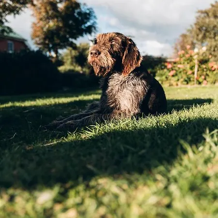 Habel An Der Nordsee Apartment *