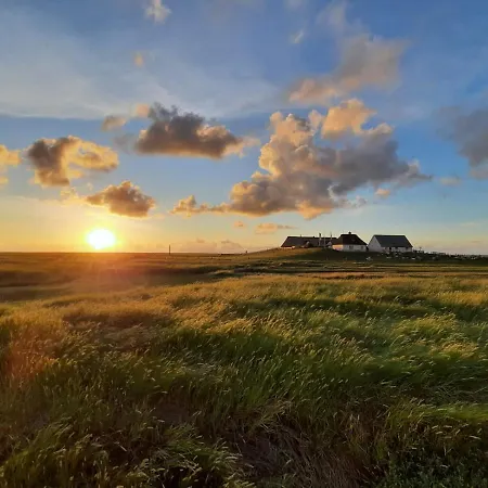 Habel An Der Nordsee Apartment Reußenköge
