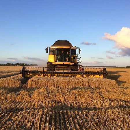 Habel An Der Nordsee * Reußenköge