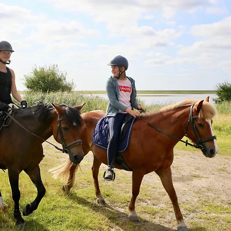 Habel An Der Nordsee Apartment